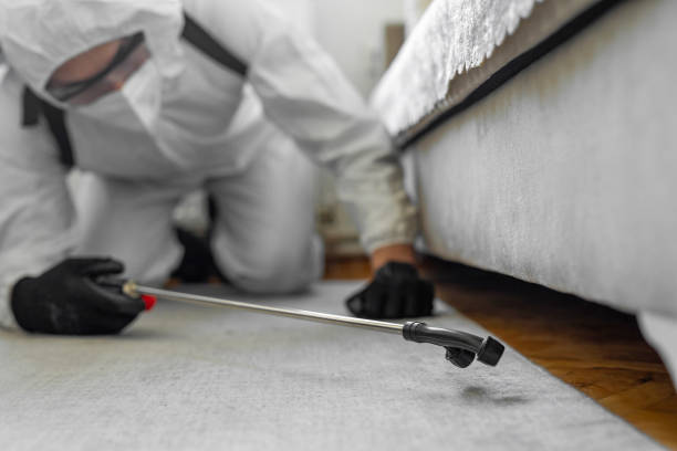 Professional Ant Control technician working in Hoboken, NJ