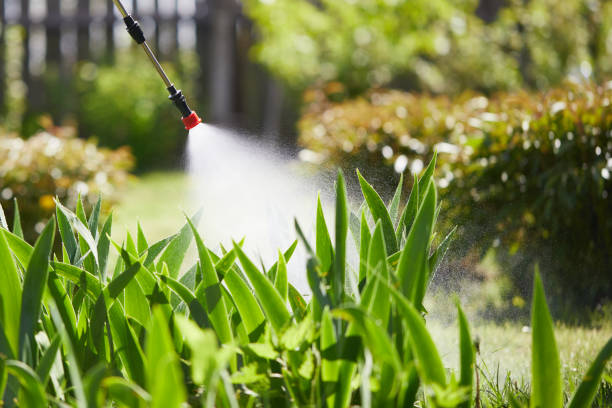 24/7 Emergency Ant Control experts in Hoboken, NJ