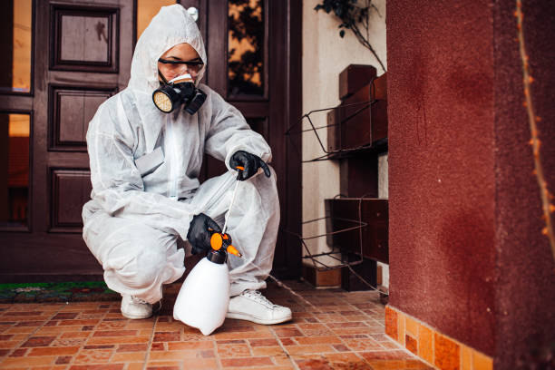 Reliable Ant Control contractor in Hoboken, NJ by Nex Pest Control