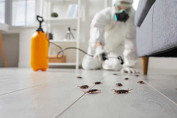 Trusted Termite Control service in Hoboken, NJ - Nex Pest Control