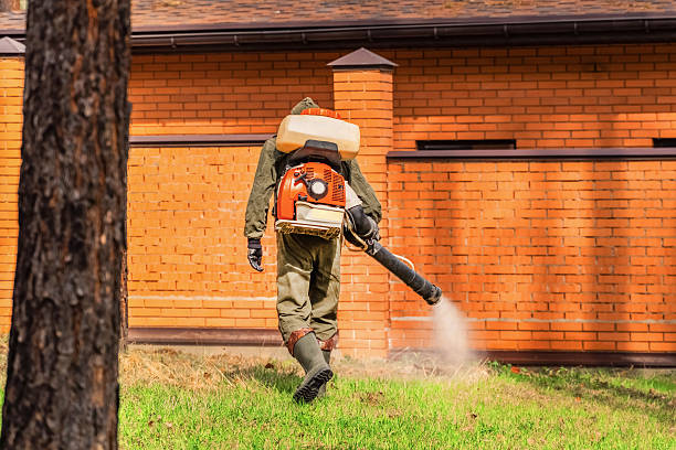 Trusted Mosquito Control service in Hoboken, NJ - Nex Pest Control